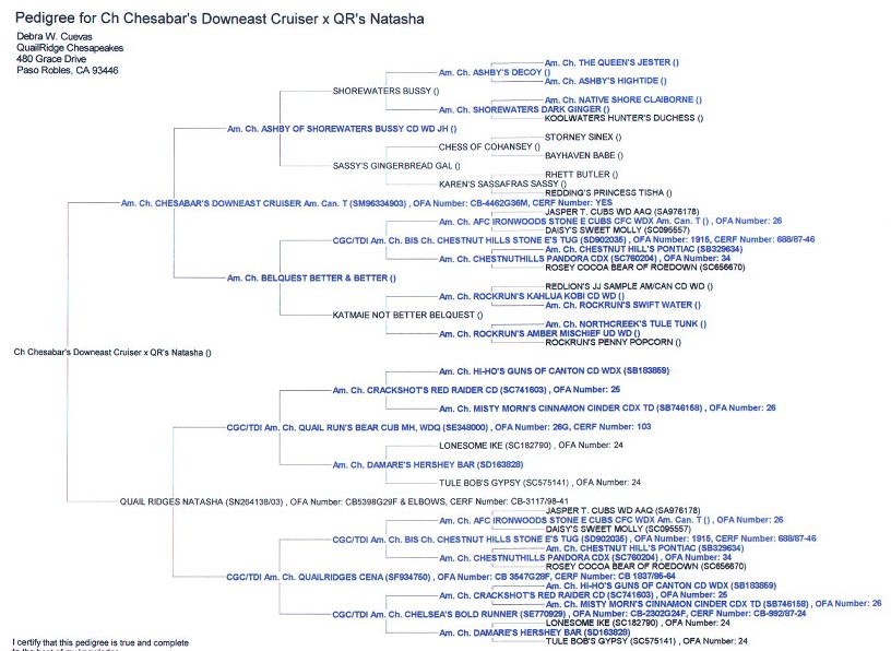 Pedigree of Pups Cruiser x Natasha March 1999