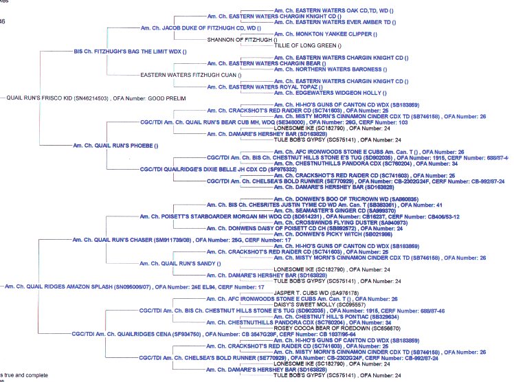 Pedigree of Pups Whelped 9/5/98